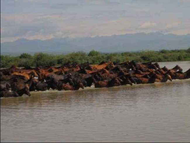 新疆天马之乡伊犁昭苏(组图),图一