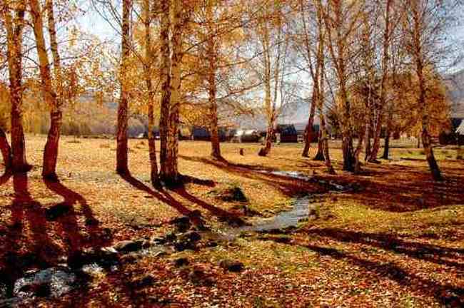 禾木—北疆额尔济斯,图三