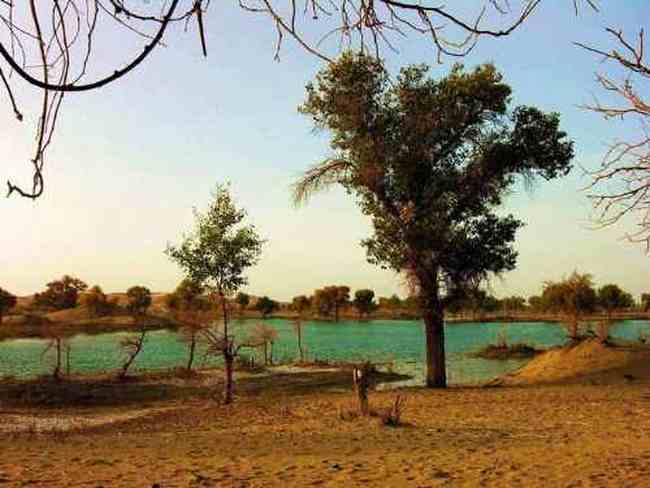 新疆 - 塔里木河,图四