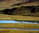 新疆 - 巴音布魯克草原