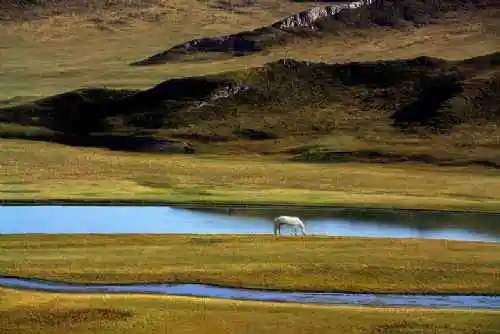 新疆 - 巴音布鲁克草原