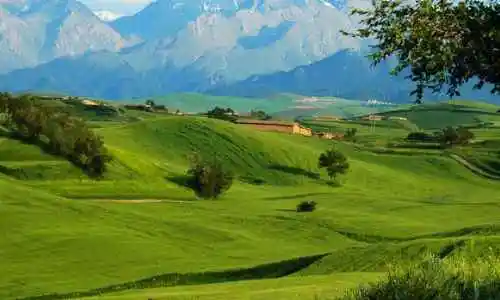 新疆布拉克风光