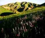 新疆南山小渠子風(fēng)光