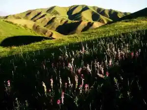 新疆南山小渠子风光