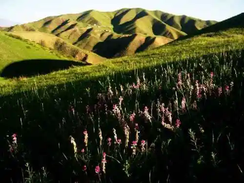 新疆南山小渠子风光