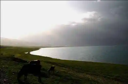 新疆赛里木风光