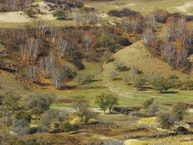 新疆草原（上）,图六