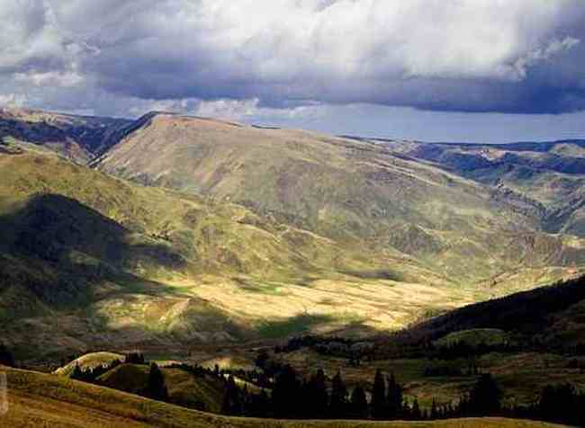新疆夏爾希里自然保護區(qū),圖十