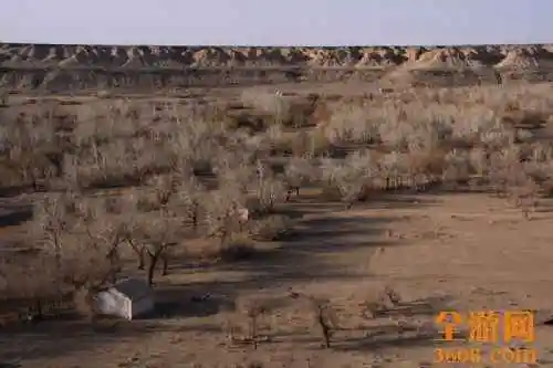 新疆自驾之旅（五）