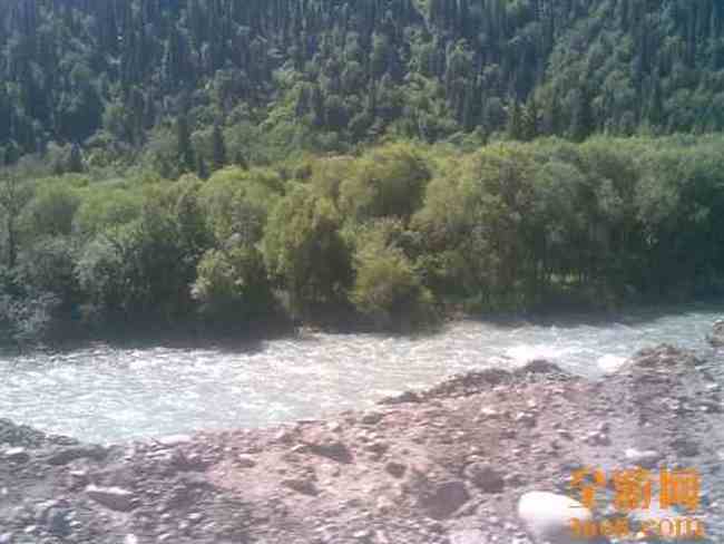 我的家乡新源,图三