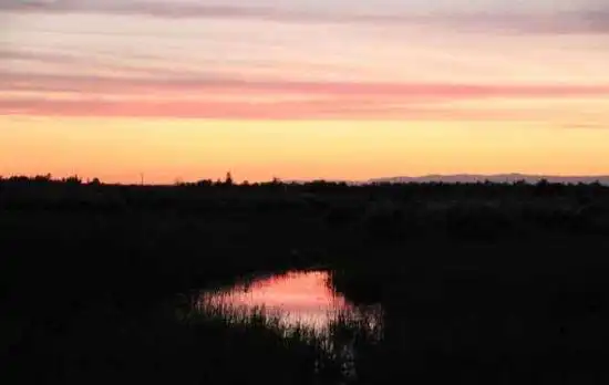 哈巴河：血色残阳 湿地夕照