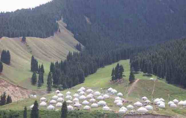 新疆 - 南山牧场,图三