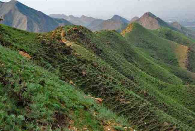 新疆卧龙岗景区,图四