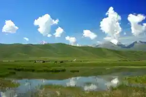 伊犁风光