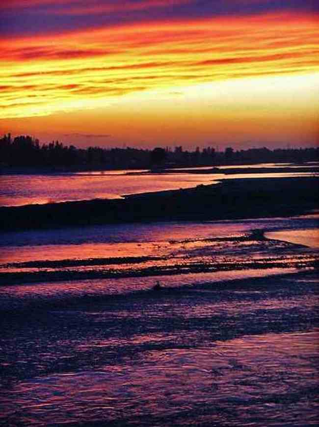 新疆大莫乎尔转场,图五