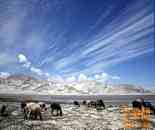 帕米爾高原風光