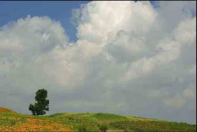 新疆刀條嶺風(fēng)光,圖三