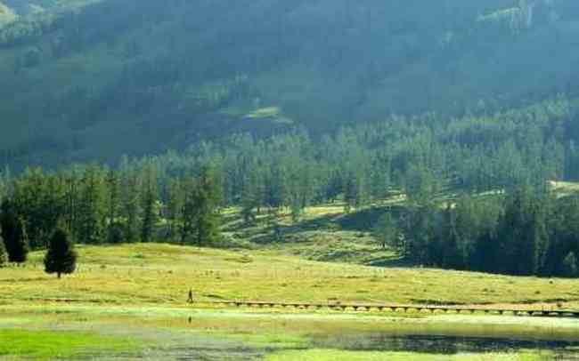 新疆喀纳斯风光,图三