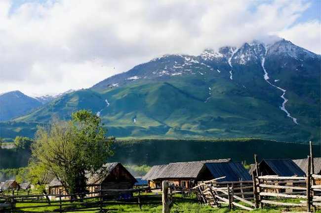6月的禾木村美图
