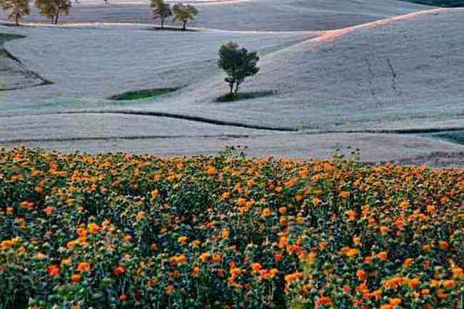 新疆奇台半截沟风光,图二