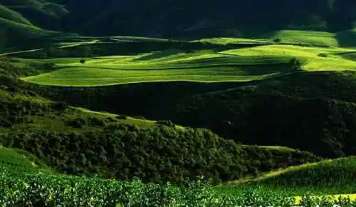 新疆布拉克风光