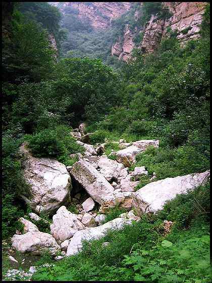 九龙潭自然风景,图六