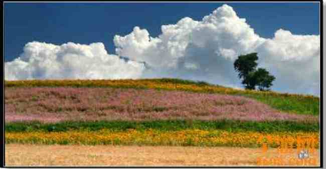 江布拉克摄影的天堂,图十
