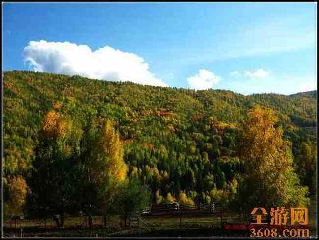 新疆北疆风光,图二