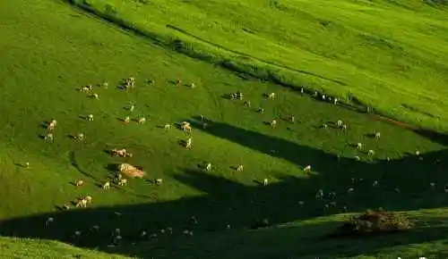 新疆布拉克风光