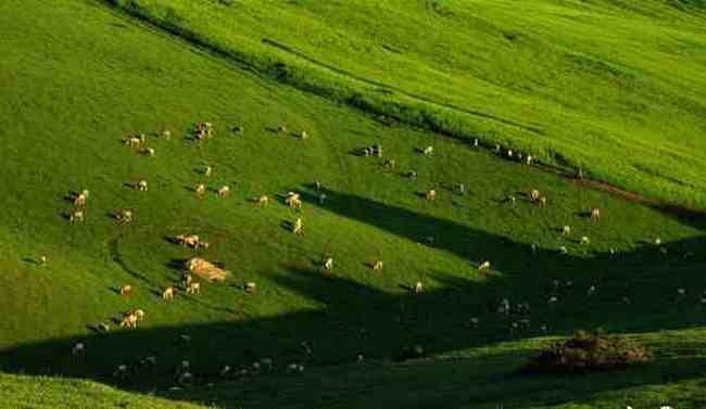 新疆布拉克风光,图十三