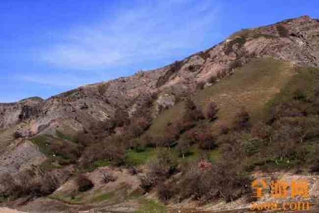 新疆自驾之旅,图十