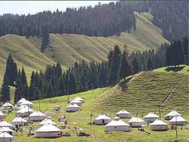 新疆 - 南山牧场,图十一