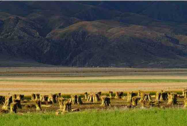 新疆伊犁行,圖四