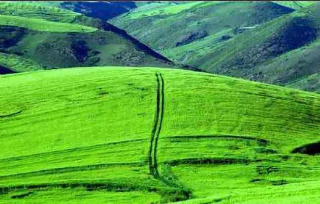 新疆江布拉克,图七