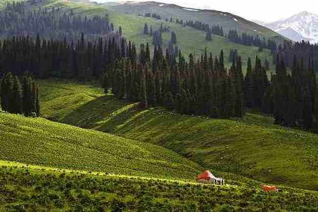 伊犁美景,图八