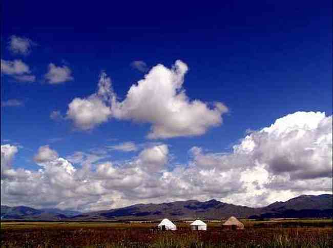 新疆昭苏高原风光,图二