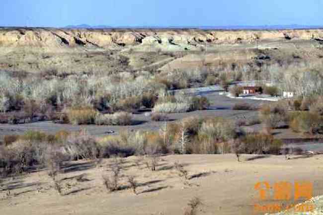 新疆自驾之旅（五）,图十五