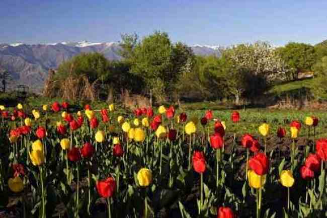 新疆新源风光,图四