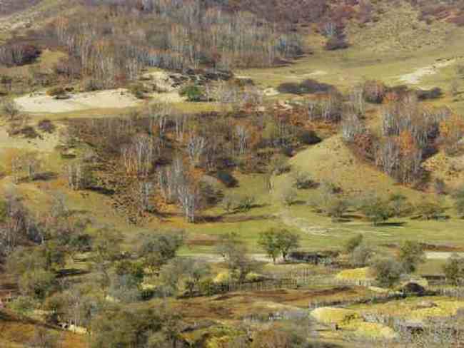 新疆草原（上）,图二