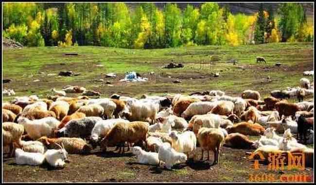 新疆北疆风光,图八