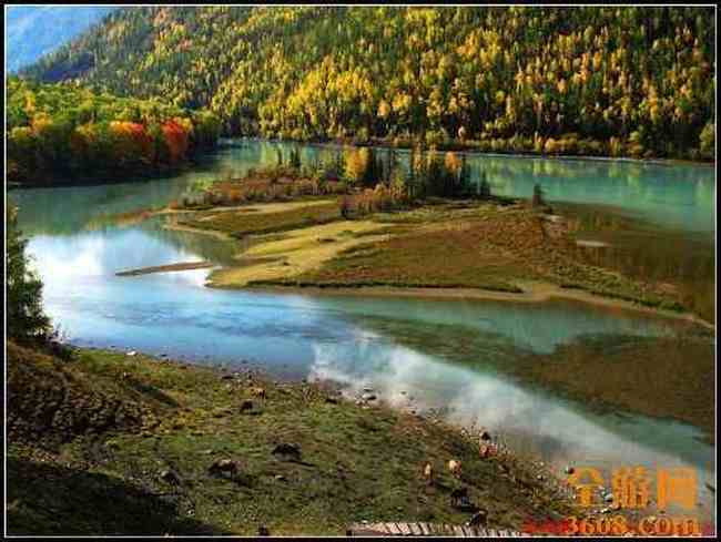 新疆北疆风光,图十一