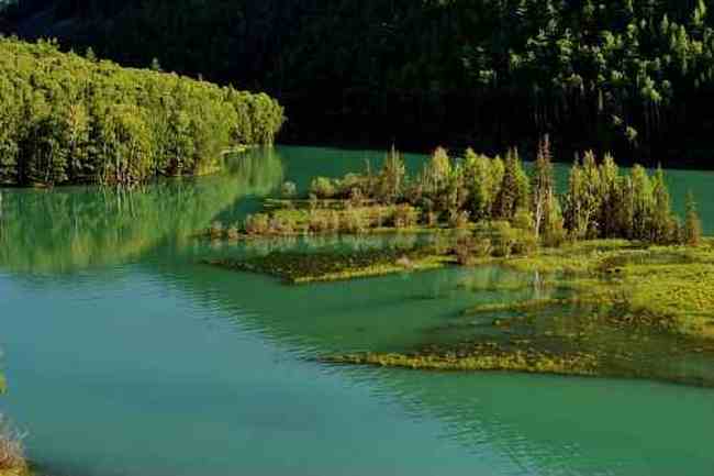 新疆喀纳斯风光,图二