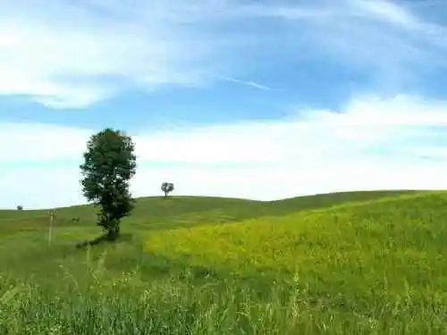 新疆奇台刀条岭风光