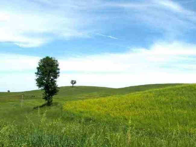 新疆奇台刀条岭风光,图一