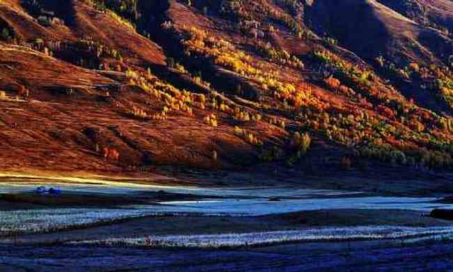 新疆喀纳斯湖畔,图四