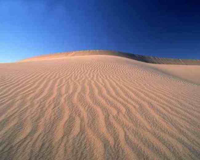 古尔班通古特沙漠,图四