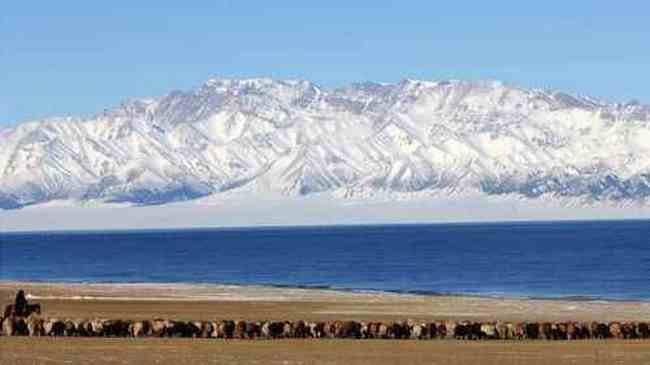 新疆霍城风光,图二