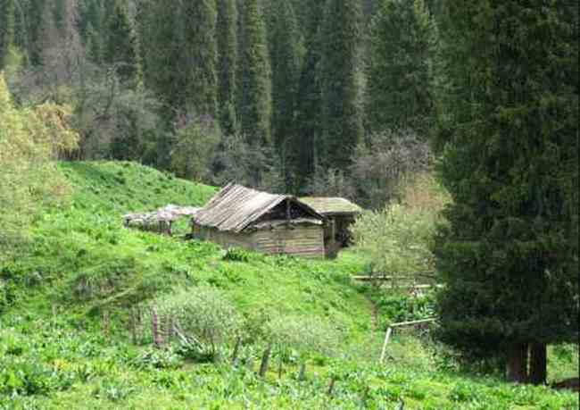 新疆恰西河谷风光,图七
