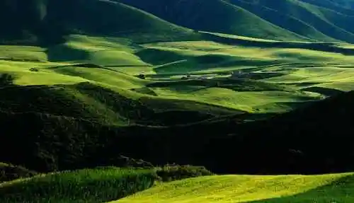 新疆布拉克风光