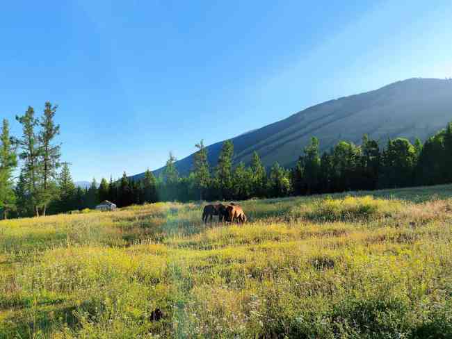 你的阿勒泰,图二